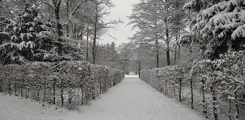 Winter im Schloss­park