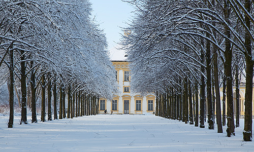 Wintertraum im Neuen Schloss