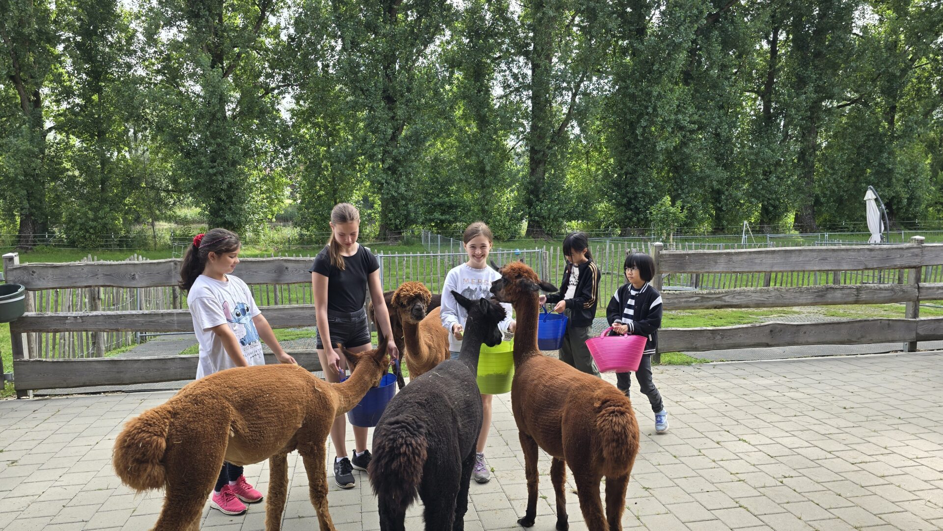 Anmeldung für das Sommerferienprogramm des Planet 'O' nicht verpassen!