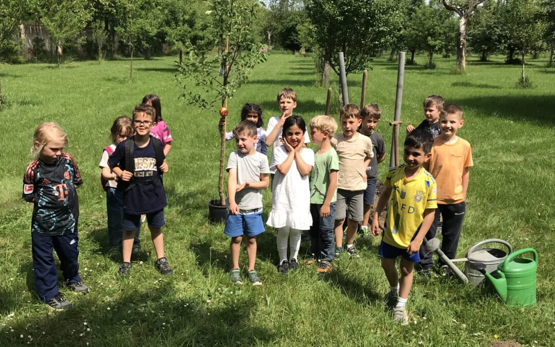 Im Schul­land­heim gewesen und ein Bäum­chen gepflanzt