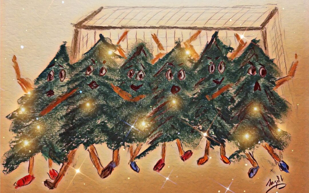 Hand­ball: TSV Schleiß­heim II gewinnt letztes Spiel in diesem Jahr