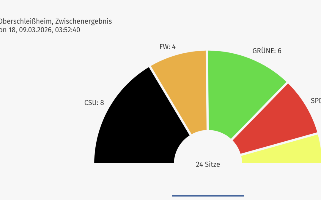 Das ist unser neuer Gemein­derat