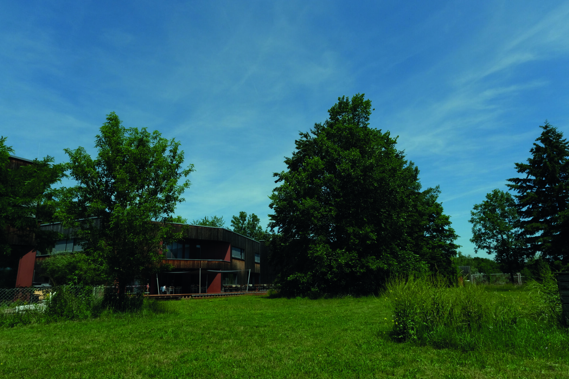 Heiner Janik Haus — JBS in Oberschleißheim mit Garten_CMYK300dpi